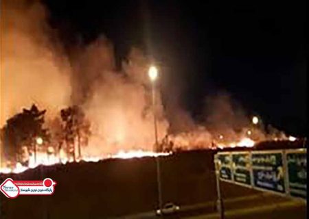 ورود شورای شهر تهران به موضوع آتش سوزی در بوستان ولایت و چیتگر