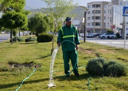 استفاده از ۵۰ میلیون متر مکعب پساب برای آبیاری فضای سبز تا پایان سال/ کاشت چمن، ممنوع و کندن آن به درخت‌ها آسیب می‌رساند