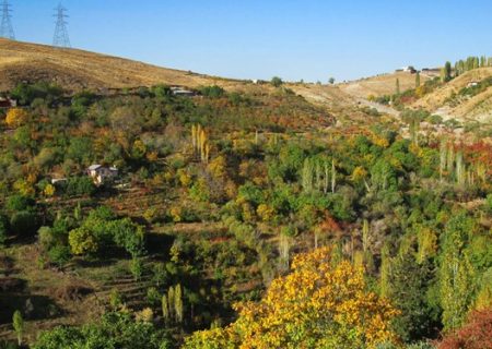 برای تمام باغات تهران شناسنامه تهیه شده است